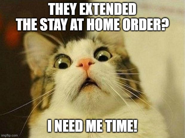 Scared Cat Meme | THEY EXTENDED THE STAY AT HOME ORDER? I NEED ME TIME! | image tagged in memes,scared cat | made w/ Imgflip meme maker