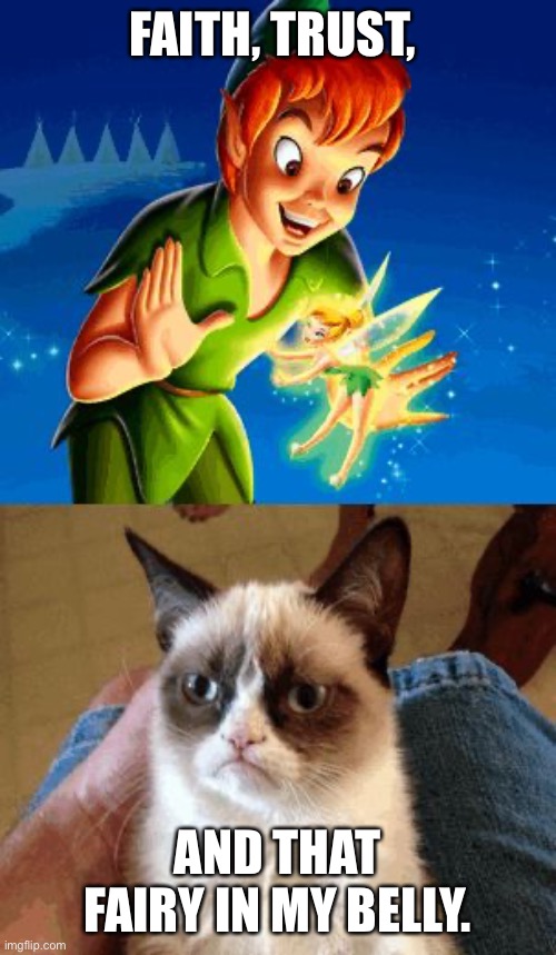 Grumpy Cat Does Not Believe Meme | FAITH, TRUST, AND THAT FAIRY IN MY BELLY. | image tagged in memes,grumpy cat does not believe,grumpy cat | made w/ Imgflip meme maker