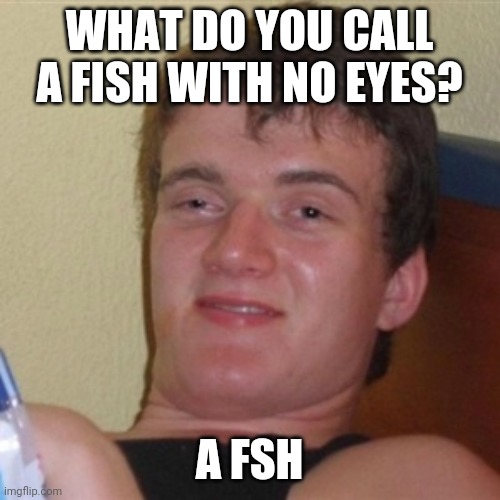 High/Drunk guy | WHAT DO YOU CALL A FISH WITH NO EYES? A FSH | image tagged in high/drunk guy | made w/ Imgflip meme maker