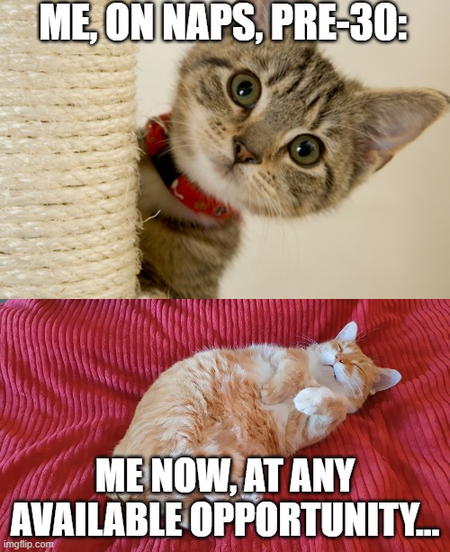 On Naps | ME, ON NAPS, PRE-30:; ME NOW, AT ANY AVAILABLE OPPORTUNITY... | image tagged in memes | made w/ Imgflip meme maker