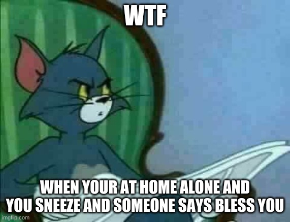 tom | WTF; WHEN YOUR AT HOME ALONE AND YOU SNEEZE AND SOMEONE SAYS BLESS YOU | image tagged in tom cat wtf | made w/ Imgflip meme maker
