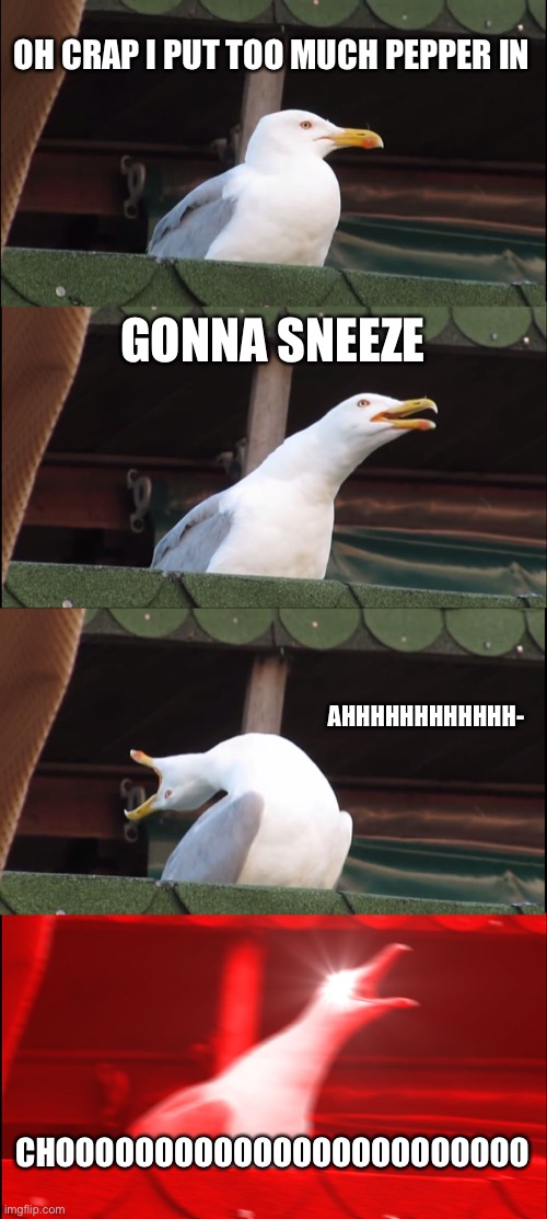 Inhaling Seagull | OH CRAP I PUT TOO MUCH PEPPER IN; GONNA SNEEZE; AHHHHHHHHHHHH-; CHOOOOOOOOOOOOOOOOOOOOOOOO | image tagged in memes,inhaling seagull | made w/ Imgflip meme maker