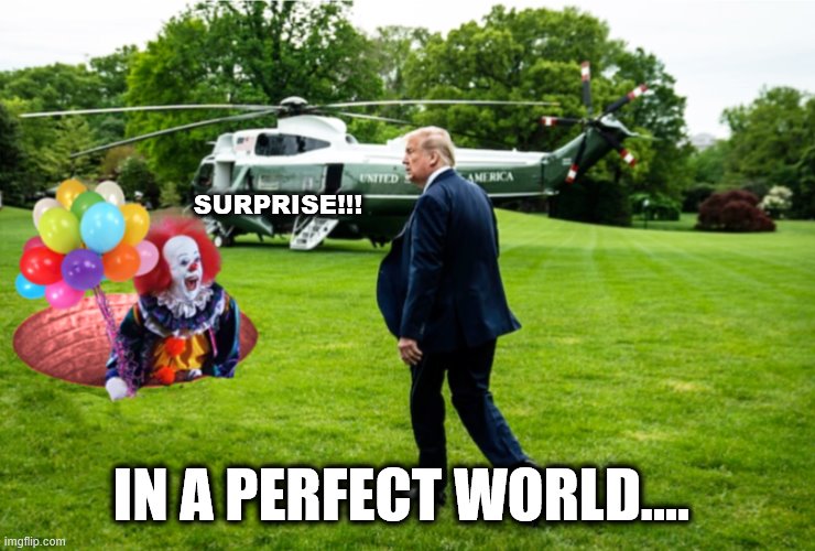 In a Perfect World.. | SURPRISE!!! IN A PERFECT WORLD.... | image tagged in pennywise,trump is a moron,donald trump is an idiot,crooked,scary clown | made w/ Imgflip meme maker
