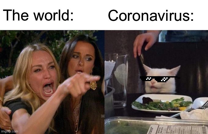 World vs corona | The world:; Coronavirus: | image tagged in memes,woman yelling at cat | made w/ Imgflip meme maker