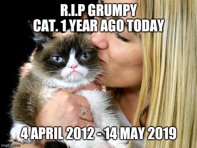 Memers all across the globe miss you x | R.I.P GRUMPY CAT. 1 YEAR AGO TODAY; 4 APRIL 2012 - 14 MAY 2019 | image tagged in memes,sad,grumpy cat,rip | made w/ Imgflip meme maker