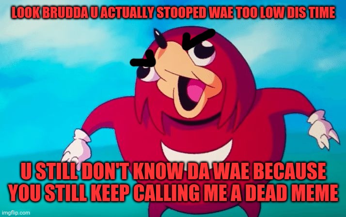 Ugandan Knuckles | LOOK BRUDDA U ACTUALLY STOOPED WAE TOO LOW DIS TIME; U STILL DON'T KNOW DA WAE BECAUSE YOU STILL KEEP CALLING ME A DEAD MEME | image tagged in ugandan knuckles,memes,do you know da wae,da wae | made w/ Imgflip meme maker