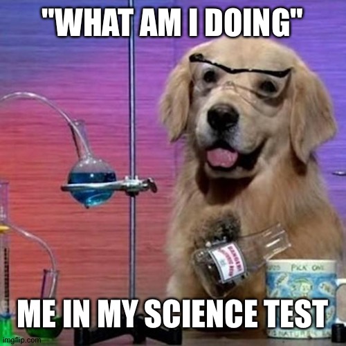 What am I doing | "WHAT AM I DOING"; ME IN MY SCIENCE TEST | image tagged in memes,i have no idea what i am doing dog | made w/ Imgflip meme maker