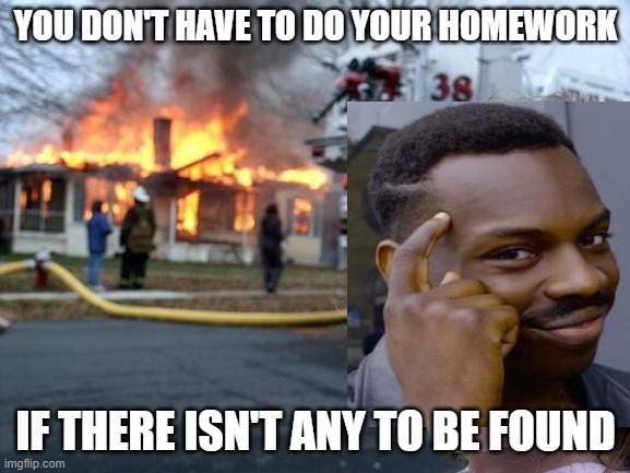 Disaster Girl | YOU DON'T HAVE TO DO YOUR HOMEWORK; IF THERE ISN'T ANY TO BE FOUND | image tagged in memes,funny,homework,fire | made w/ Imgflip meme maker