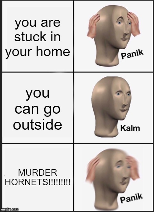;( | you are stuck in your home; you can go outside; MURDER HORNETS!!!!!!!!! | image tagged in memes,panik kalm panik | made w/ Imgflip meme maker