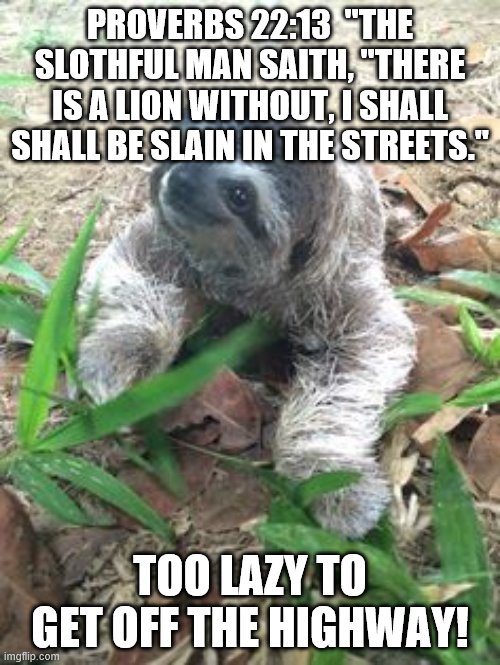 Don't be lazy on Election Day!  That's what the Democrats want! | PROVERBS 22:13  "THE SLOTHFUL MAN SAITH, "THERE IS A LION WITHOUT, I SHALL SHALL BE SLAIN IN THE STREETS."; TOO LAZY TO GET OFF THE HIGHWAY! | image tagged in political advice sloth,freedom fighters,religious freedom,vote | made w/ Imgflip meme maker