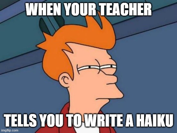Futurama Fry | WHEN YOUR TEACHER; TELLS YOU TO WRITE A HAIKU | image tagged in memes,futurama fry | made w/ Imgflip meme maker