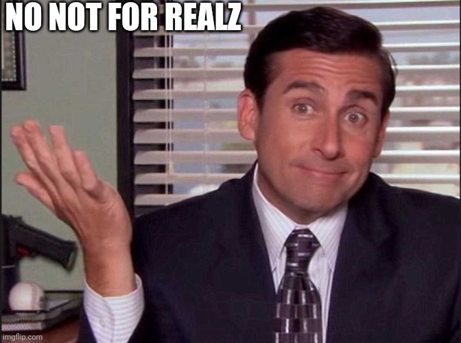 Michael Scott | NO NOT FOR REALZ | image tagged in michael scott | made w/ Imgflip meme maker