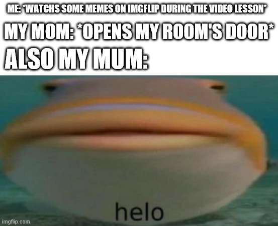 Helo mom | ME: *WATCHS SOME MEMES ON IMGFLIP DURING THE VIDEO LESSON*; MY MOM: *OPENS MY ROOM'S DOOR*; ALSO MY MUM: | image tagged in helo | made w/ Imgflip meme maker