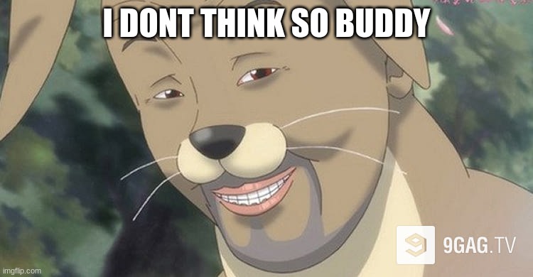 Weird anime hentai furry | I DONT THINK SO BUDDY | image tagged in weird anime hentai furry | made w/ Imgflip meme maker