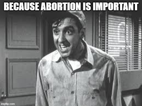 Gomer Pyle | BECAUSE ABORTION IS IMPORTANT | image tagged in gomer pyle | made w/ Imgflip meme maker