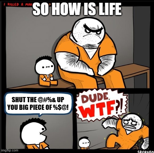 Srgrafo dude wtf | SO HOW IS LIFE; SHUT THE @#%& UP YOU BIG PIECE OF %$@! | image tagged in srgrafo dude wtf | made w/ Imgflip meme maker