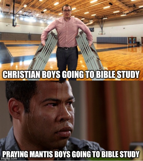 Bible study | CHRISTIAN BOYS GOING TO BIBLE STUDY; PRAYING MANTIS BOYS GOING TO BIBLE STUDY | image tagged in bible,christian | made w/ Imgflip meme maker