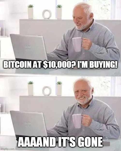 Buy the top | BITCOIN AT $10,000? I'M BUYING! AAAAND IT'S GONE | image tagged in memes,hide the pain harold | made w/ Imgflip meme maker