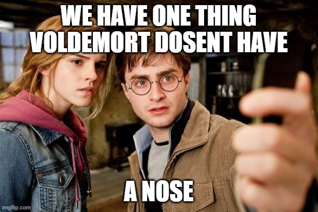 Harry potter selfie | WE HAVE ONE THING VOLDEMORT DOSENT HAVE; A NOSE | image tagged in harry potter selfie | made w/ Imgflip meme maker