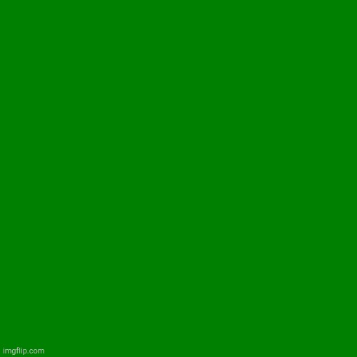 Made this before I knew we could color the entire thing | image tagged in blank green template | made w/ Imgflip meme maker