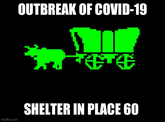 Oregon trail | OUTBREAK OF COVID-19; SHELTER IN PLACE 60 DAYS | image tagged in oregon trail | made w/ Imgflip meme maker