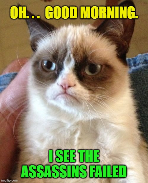 Grumpy Cat | OH. . .  GOOD MORNING. I SEE THE ASSASSINS FAILED | image tagged in grumpy cat,funny,marriage,relationships,assassin,so over you | made w/ Imgflip meme maker