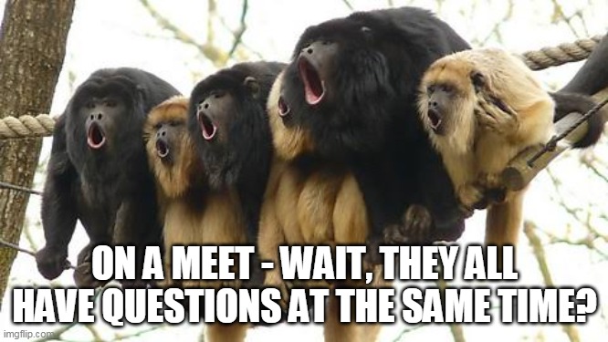 Talking during a MEET | ON A MEET - WAIT, THEY ALL HAVE QUESTIONS AT THE SAME TIME? | image tagged in monkey choir | made w/ Imgflip meme maker
