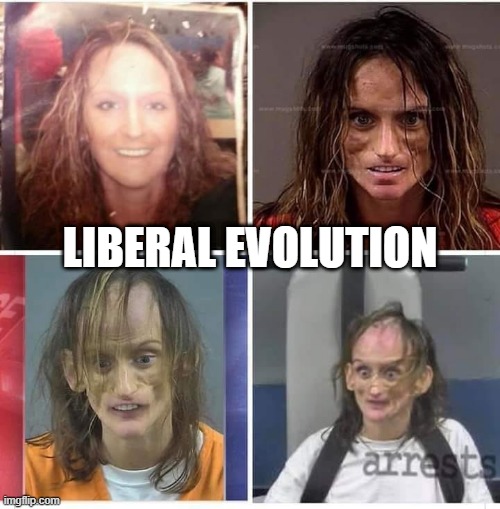 Liberal Evolution | LIBERAL EVOLUTION | image tagged in memes | made w/ Imgflip meme maker