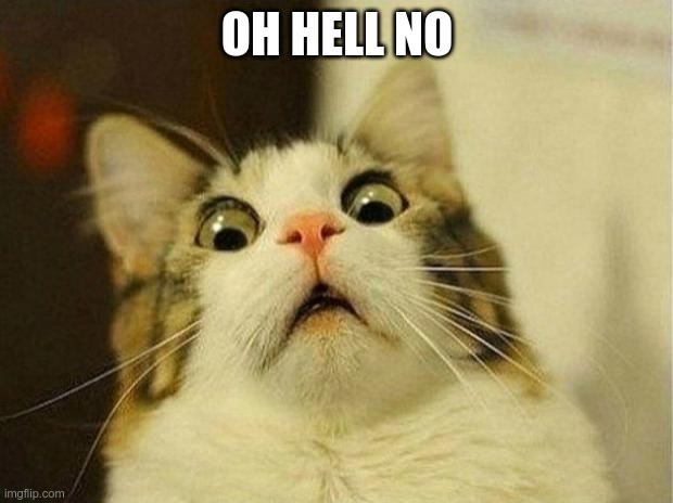 Scared Cat Meme | OH HELL NO | image tagged in memes,scared cat | made w/ Imgflip meme maker