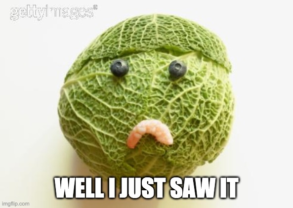 sad cabbage | WELL I JUST SAW IT | image tagged in sad cabbage | made w/ Imgflip meme maker