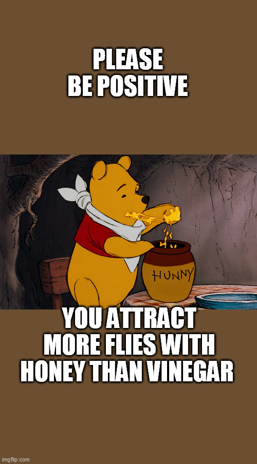 we want to win in november why be nasty | PLEASE BE POSITIVE; YOU ATTRACT MORE FLIES WITH HONEY THAN VINEGAR | image tagged in winnie the pooh honey,politics | made w/ Imgflip meme maker