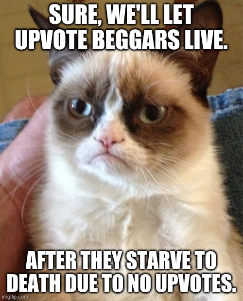 Grumpy Cat Meme | SURE, WE'LL LET UPVOTE BEGGARS LIVE. AFTER THEY STARVE TO DEATH DUE TO NO UPVOTES. | image tagged in memes,grumpy cat | made w/ Imgflip meme maker