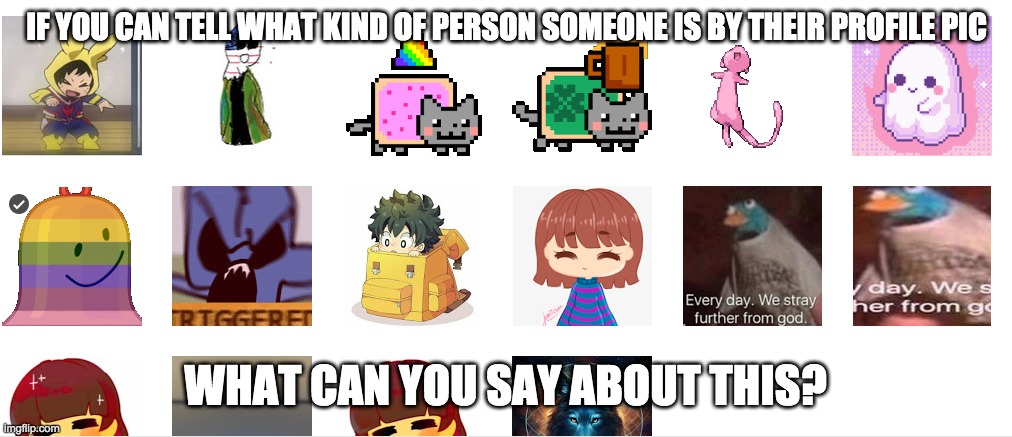 idk lol | IF YOU CAN TELL WHAT KIND OF PERSON SOMEONE IS BY THEIR PROFILE PIC; WHAT CAN YOU SAY ABOUT THIS? | image tagged in idk,lol | made w/ Imgflip meme maker