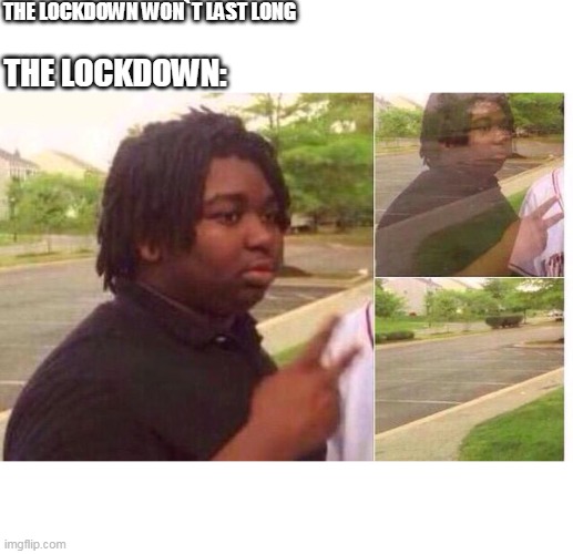 memes of the memes | THE LOCKDOWN WON`T LAST LONG; THE LOCKDOWN: | image tagged in fading away | made w/ Imgflip meme maker