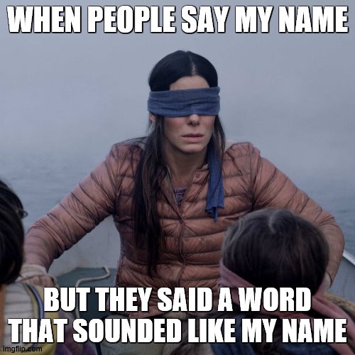 oof | WHEN PEOPLE SAY MY NAME; BUT THEY SAID A WORD THAT SOUNDED LIKE MY NAME | image tagged in memes,bird box | made w/ Imgflip meme maker