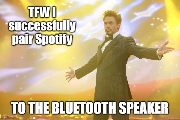 WTG Boomer | TFW I successfully pair Spotify; TO THE BLUETOOTH SPEAKER | image tagged in tony stark success | made w/ Imgflip meme maker