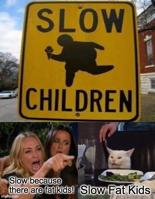 Slow because there are fat kids! Slow Fat Kids | image tagged in memes,woman yelling at cat | made w/ Imgflip meme maker