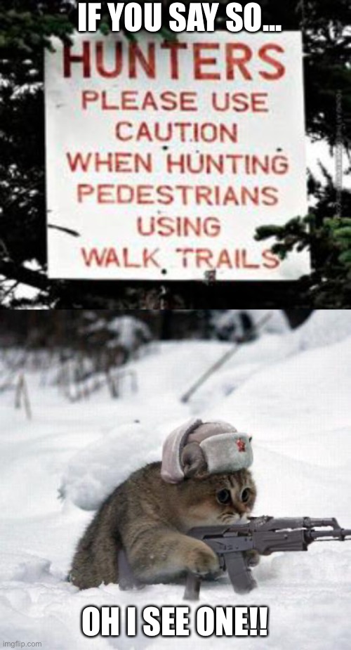 Hunting pedestrians | IF YOU SAY SO... OH I SEE ONE!! | image tagged in cute sad soviet war kitten,you had one job | made w/ Imgflip meme maker