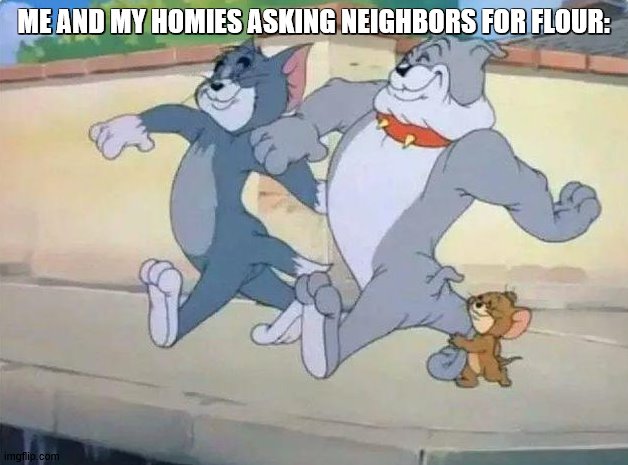 Me and my homies | ME AND MY HOMIES ASKING NEIGHBORS FOR FLOUR: | image tagged in me and my homies | made w/ Imgflip meme maker