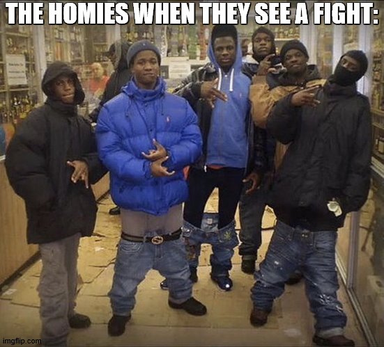 ALL MY HOMIES HATE | THE HOMIES WHEN THEY SEE A FIGHT: | image tagged in all my homies hate | made w/ Imgflip meme maker
