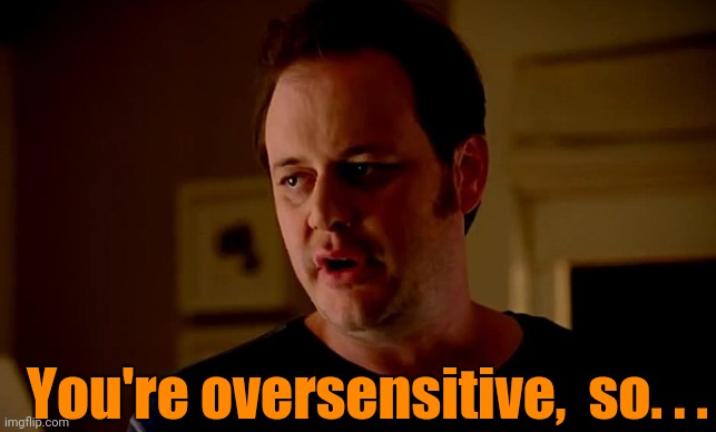state farm guy | You're oversensitive,  so. . . | image tagged in state farm guy | made w/ Imgflip meme maker
