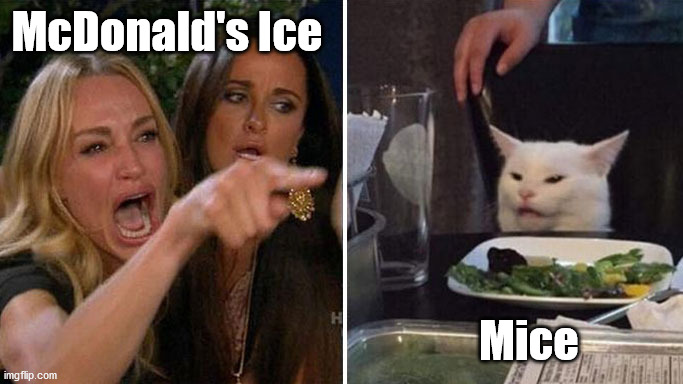 Angry lady cat | McDonald's Ice Mice | image tagged in angry lady cat | made w/ Imgflip meme maker