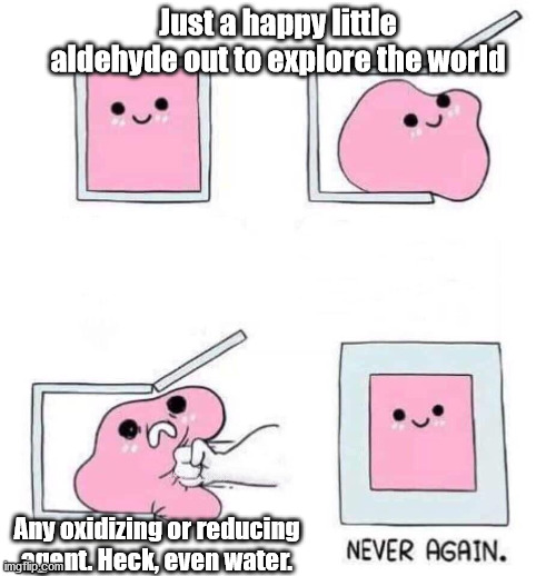 Aldehydes are sensitive | Just a happy little aldehyde out to explore the world; Any oxidizing or reducing agent. Heck, even water. | image tagged in never again,chemistry,organic chemistry | made w/ Imgflip meme maker