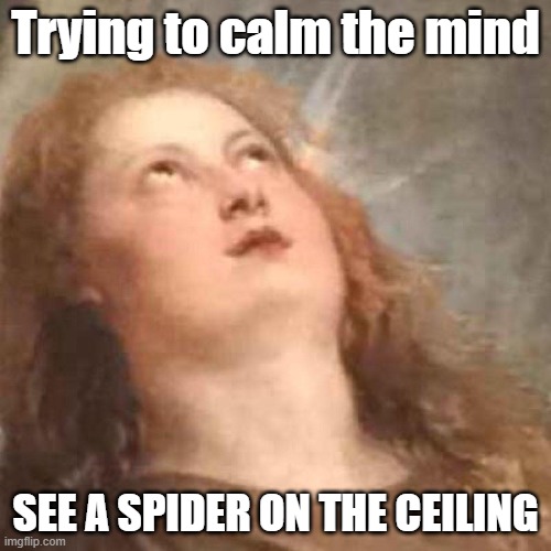 Meditation practice | Trying to calm the mind; SEE A SPIDER ON THE CEILING | image tagged in annoyed angel reaction | made w/ Imgflip meme maker