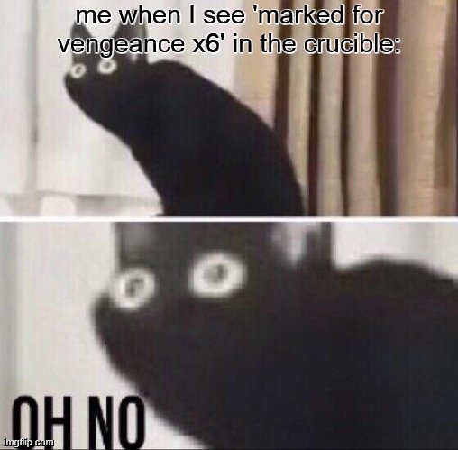 Destiny 2 Memes | me when I see 'marked for vengeance x6' in the crucible: | image tagged in oh no cat,destiny 2 | made w/ Imgflip meme maker