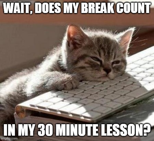 break lesson | WAIT, DOES MY BREAK COUNT; IN MY 30 MINUTE LESSON? | image tagged in tired cat | made w/ Imgflip meme maker