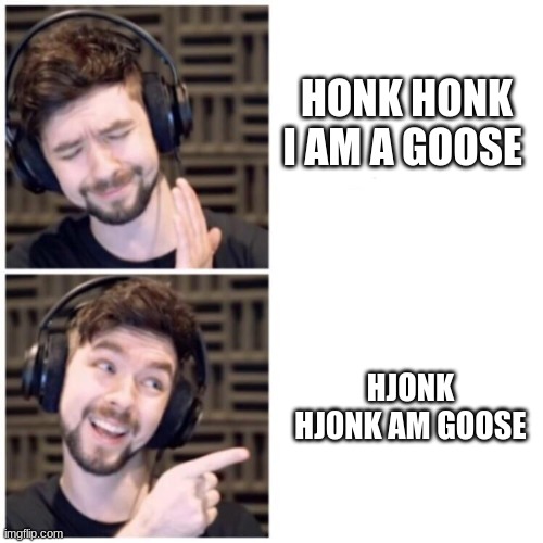 Jack playing untitled goose game | HONK HONK I AM A GOOSE; HJONK HJONK AM GOOSE | image tagged in funny | made w/ Imgflip meme maker