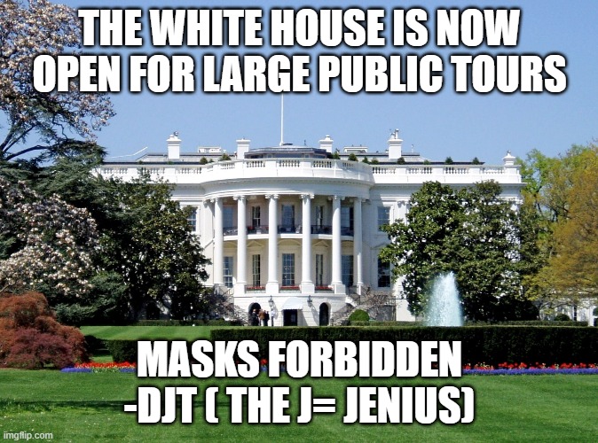 Trump pure jenius | THE WHITE HOUSE IS NOW OPEN FOR LARGE PUBLIC TOURS; MASKS FORBIDDEN -DJT ( THE J= JENIUS) | image tagged in white house | made w/ Imgflip meme maker