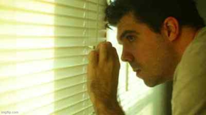 Paranoid guy  | image tagged in paranoid guy | made w/ Imgflip meme maker