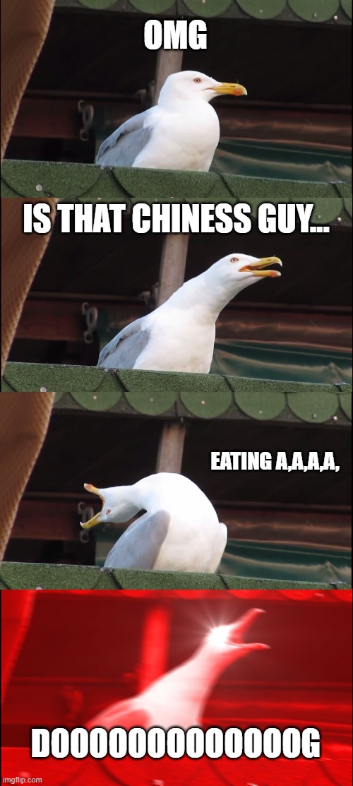 Inhaling Seagull Meme | OMG; IS THAT CHINESS GUY... EATING A,A,A,A, DOOOOOOOOOOOOOG | image tagged in memes,inhaling seagull | made w/ Imgflip meme maker